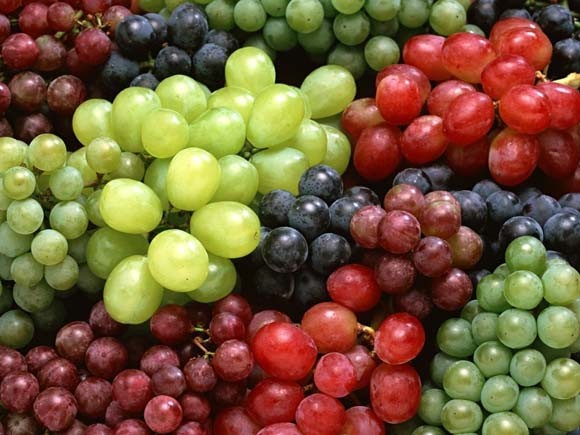 Класифікація сортів винограду